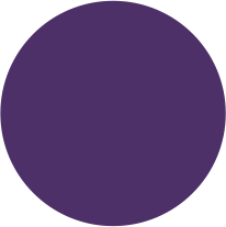 08-Purple