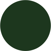 11-Forest